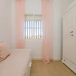 Cubo's Mis Seis Soles Nyaraló *