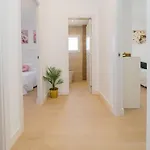 Cubo's Mis Seis Soles Nyaraló *